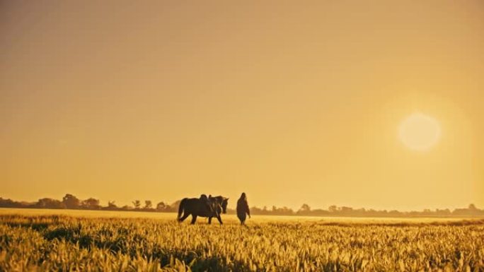 日落时分，SLO MO女人在耕地上骑马