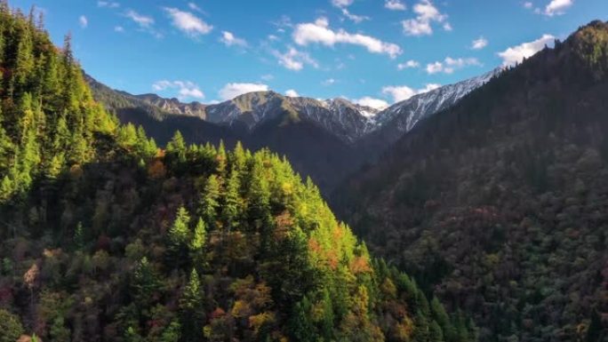 秋天的雪山下，有一片五彩缤纷的森林