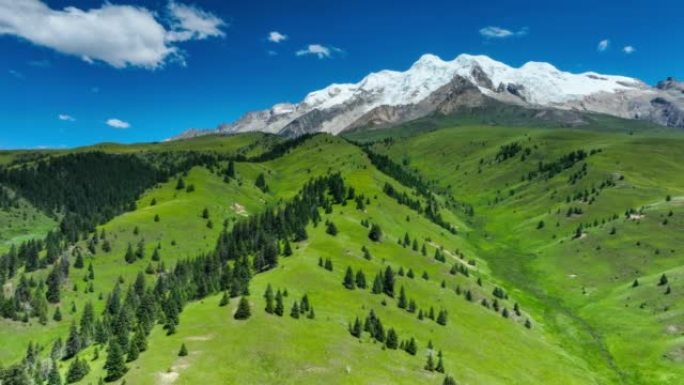 草原和森林深处是女神格尼山，高耸在天空