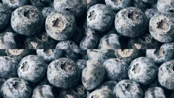 蓝莓广告创意花青素健康