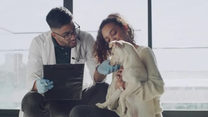 4k视频片段，一位英俊的年轻兽医在将他从动物收容所释放以供收养之前检查了他的病人