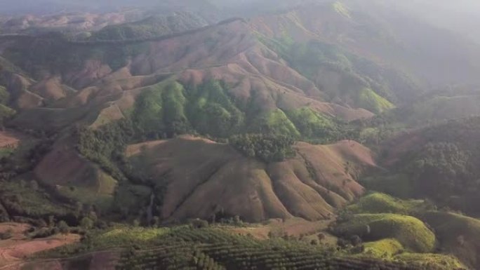 气候变化的空中镜头摧毁了山上的森林