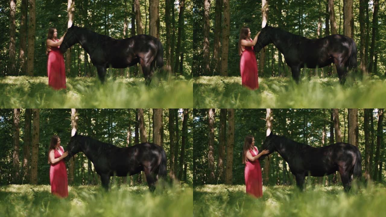 穿着红色连衣裙的SLO MO女人在阳光明媚的森林中抚摸她的马