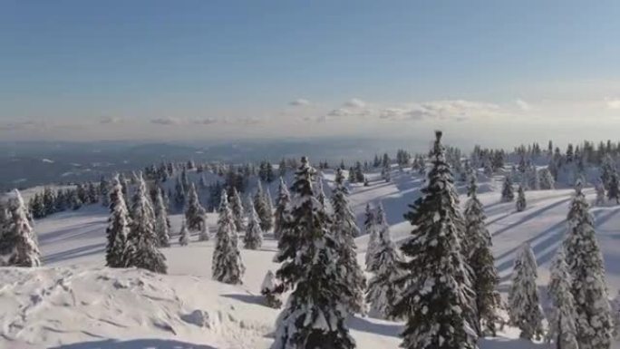 空中: 在阳光明媚的日子里，田园诗般的白雪皑皑的山脉景观。