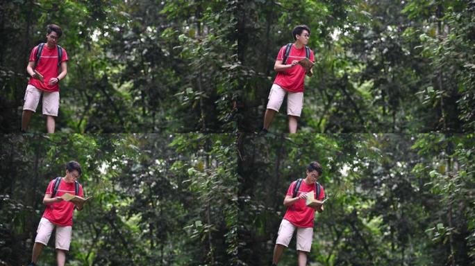 一位亚洲华裔年轻人在丛林雨林远足径中看着自己的地图