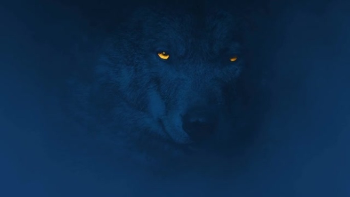 狼在雾中咆哮，眼睛发光
