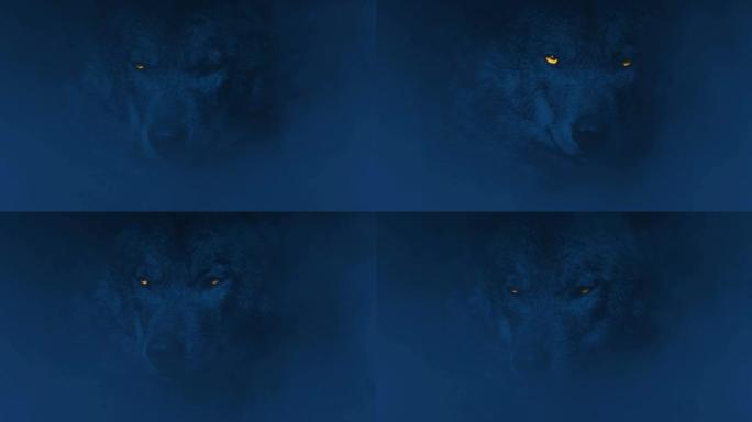 狼在雾中咆哮，眼睛发光