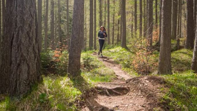 年轻的健身女子在森林中奔跑时保持健康并呼吸新鲜空气