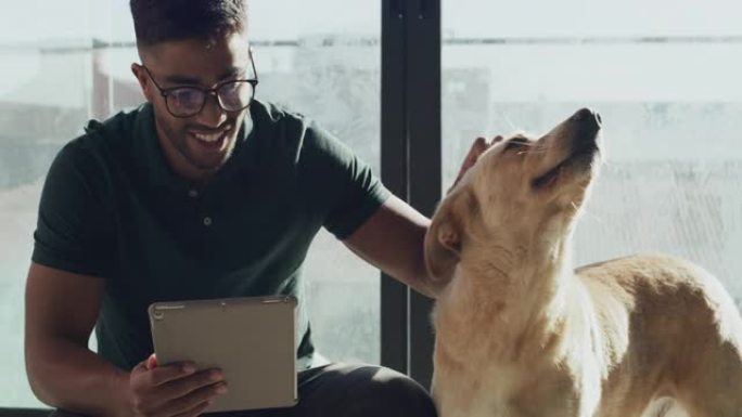 4k视频片段，一个英俊的年轻人在动物收容所里抚摸狗时使用数字平板电脑