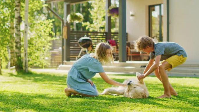 两个孩子在后院草坪上与他们英俊的金毛猎犬一起玩得很开心。他们抚摸，玩耍，抓挠它。快乐的血统狗在下巴上