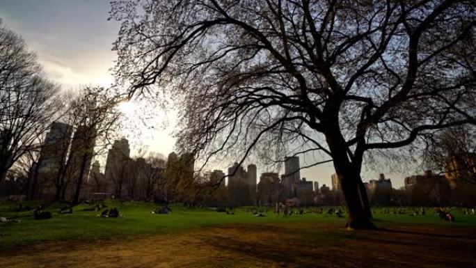 纽约中央公园的日落