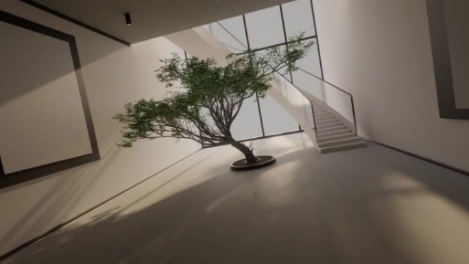 3D建模的现代室内设计与一棵树，相机从顶部飞到一楼