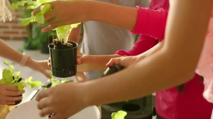 学生，植物和生物学课程为孩子们，同时种植和学习生态，可持续性和园艺。在教室里做科学项目的儿童群体的自