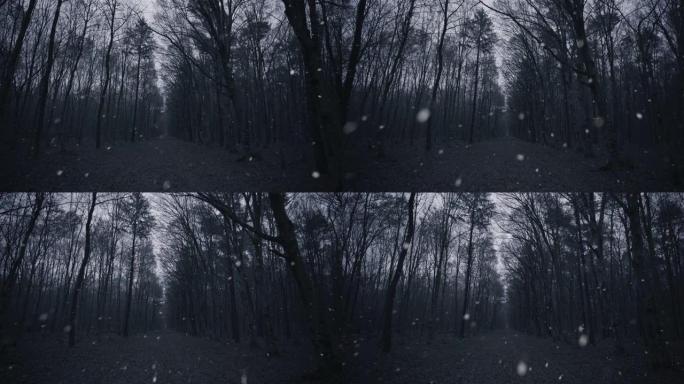 下雪天的WS落叶林