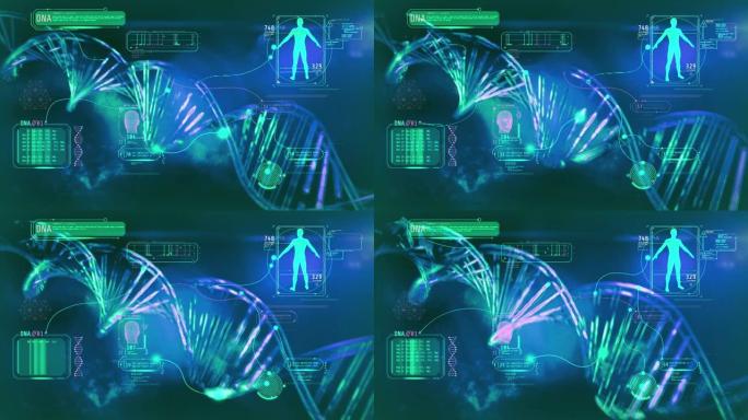 DNA螺旋和信息图表，3D渲染。