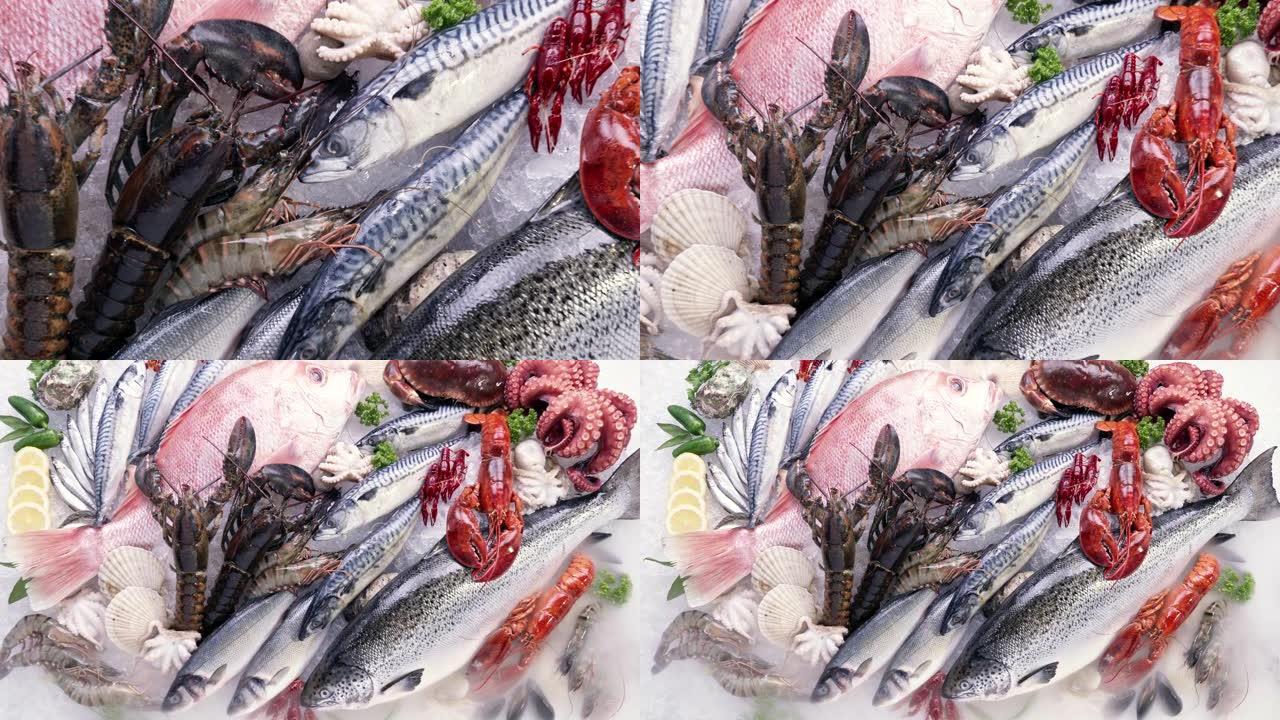 4K UHD缩小俯视图: 各种豪华新鲜海鲜，龙虾鲑鱼鲭鱼小龙虾对虾章鱼贻贝和扇贝，在冰背景上。冰上新