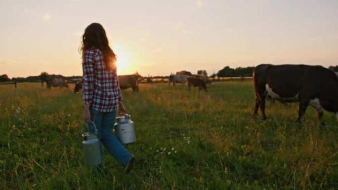 SLO MO女牧场主在日落时沿着牧场携带两个牛奶罐