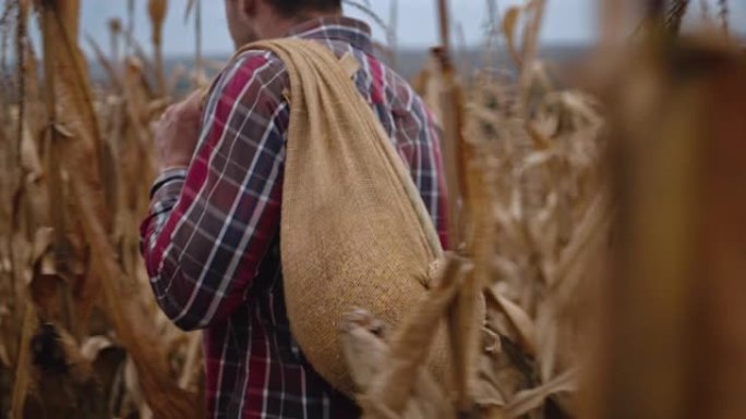 农民携带一袋玉米的后视图