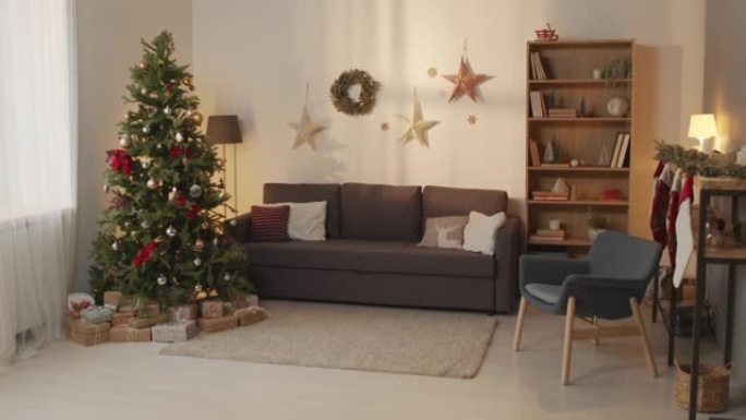 带圣诞树的客厅节日-活动、礼物、书架、