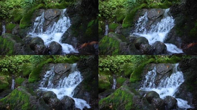 流动的水流山间泉水流水