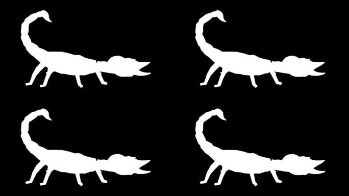 黑色背景上的等待蝎子剪影。动物的概念，野生动物，游戏，返校，3d动画，短视频，电影，卡通，有机，色键