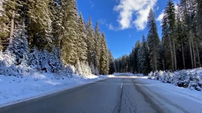 在白雪皑皑的森林中的冬季道路上行驶