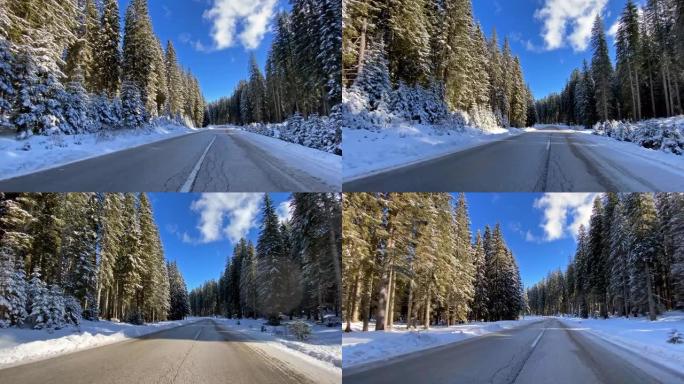 在白雪皑皑的森林中的冬季道路上行驶