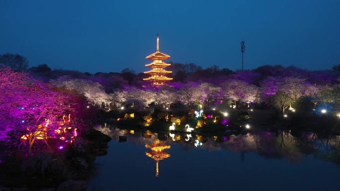 武汉樱花园夜景