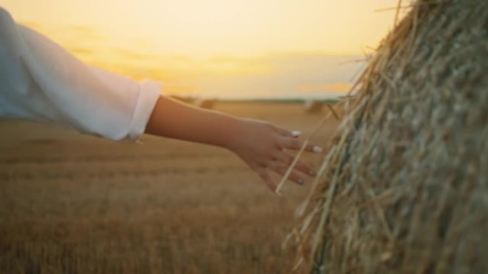 SLO MO年轻女子在黄昏时在田野中间触摸打包的小麦