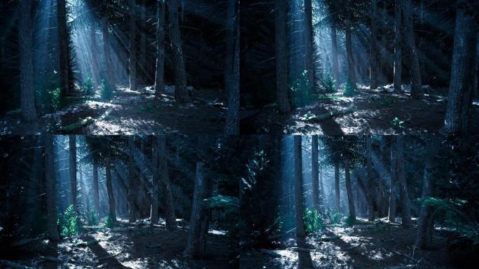 夜森林。月光的光芒正在穿透树木。神秘森林。