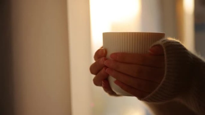 女性双手早上捧着一杯热咖啡