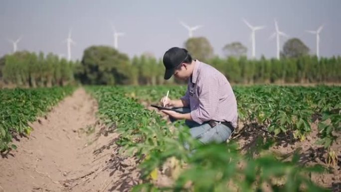 一名男性农民在田间使用数字平板电脑