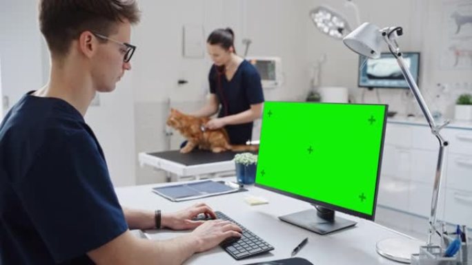 女兽医用听诊器诊断一只红色的缅因浣熊猫。兽医诊所的员工在工作中使用带有绿屏模拟显示的台式计算机