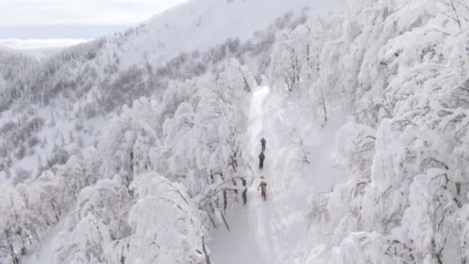 空中: 在未触及的雪山上滑雪游览的游客群上方飞行。