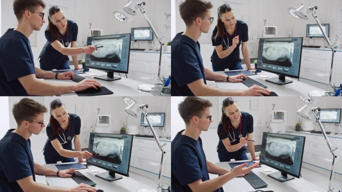 两名年轻兽医使用台式电脑与兽医诊所在线医疗数据库软件进行宠物x光扫描。两个同事在讨论工作，用手势和手