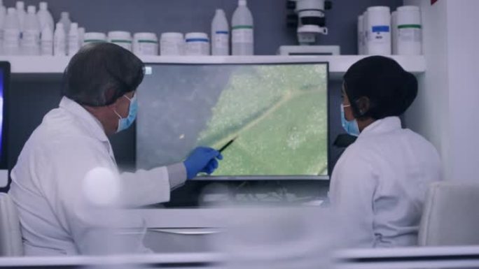 技术人员在研究实验室的电脑屏幕上研究植物。科学家们一起努力寻找一种草药的药用价值。化学家们正在讨论树