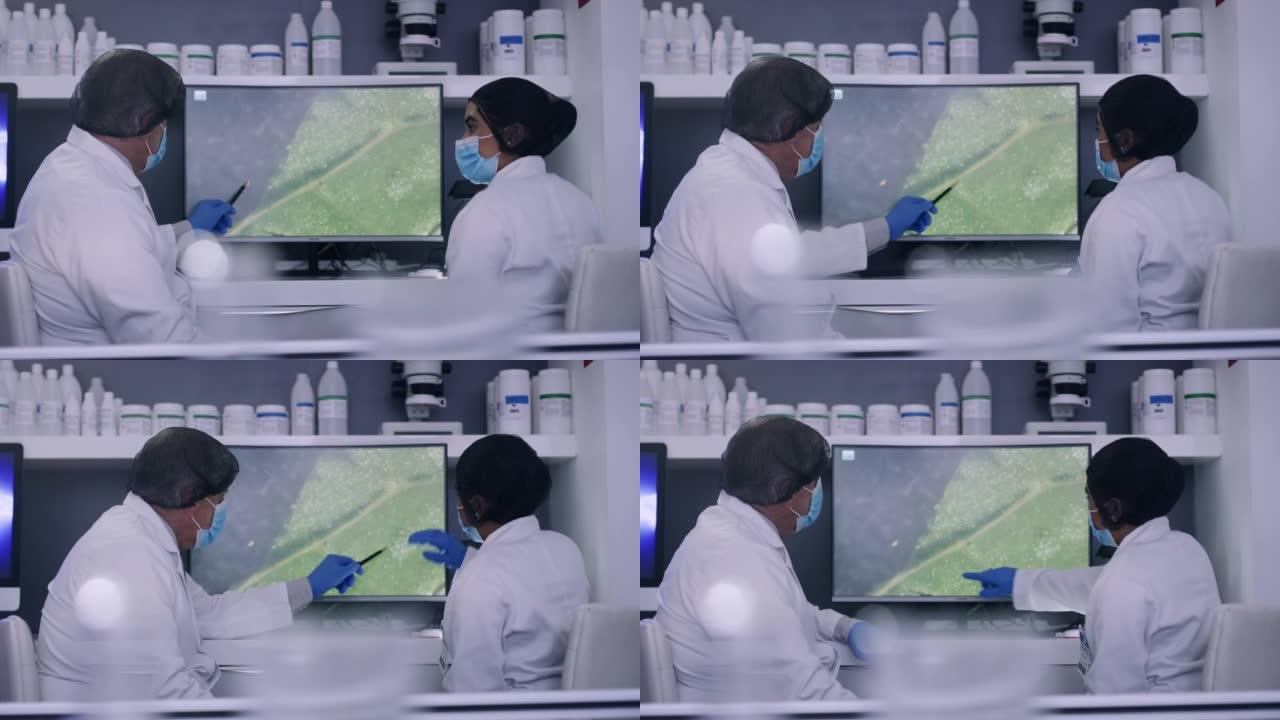 技术人员在研究实验室的电脑屏幕上研究植物。科学家们一起努力寻找一种草药的药用价值。化学家们正在讨论树
