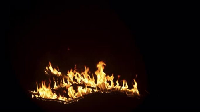 慢动作镜头:木头树枝燃烧在强烈的火焰在黑色背景。火焰熄灭。丛林之火概念。独立模拟的特殊效果，视觉效果