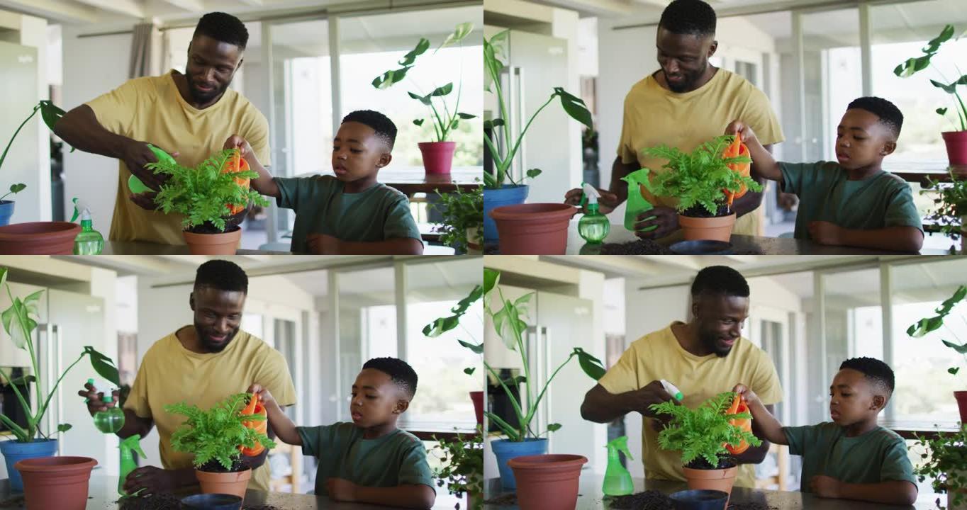 非裔美国人父子在家一起浇花花盆