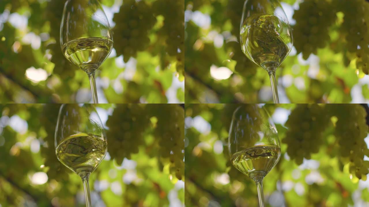 在一束白葡萄的背景下，带有新鲜白葡萄酒的玻璃微微摇晃。葡萄酒测试和葡萄酒酿造概念。慢动作，4K
