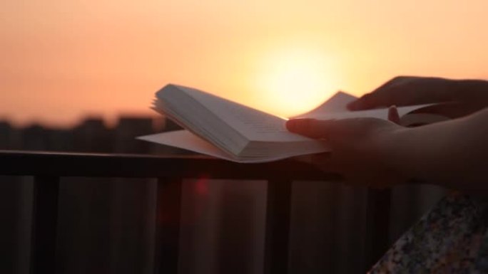 日落时看书日落时看书读书