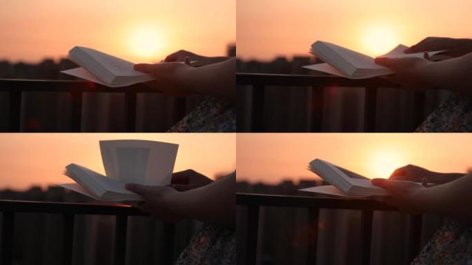 日落时看书日落时看书读书