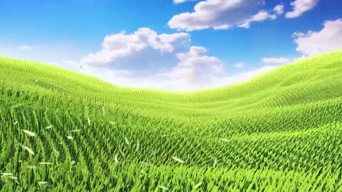 风吹麦浪 青色绿色麦田2