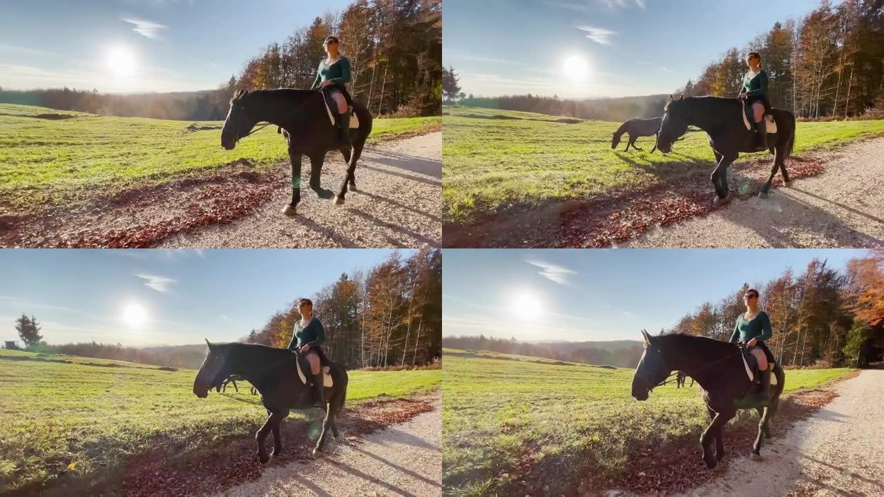 镜头耀斑: Fit rider在斯洛文尼亚乡村沿着风景优美的路线引导她的马。