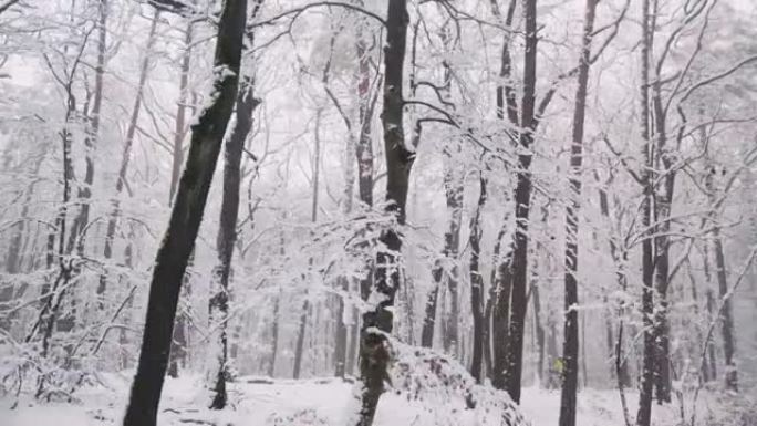 电动自行车上的前灯在风景秀丽的白雪皑皑的森林中骑行