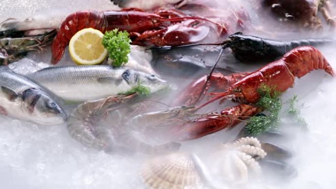 4K UHD: 各种豪华新鲜海鲜，龙虾鲑鱼鲭鱼小龙虾对虾章鱼贻贝和扇贝，在冰的背景下冷冻冰冷的烟雾。