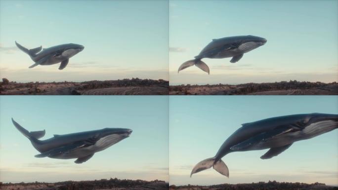 空中座头鲸的超现实主义动画。