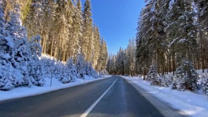 在冬季景观中穿越雄伟的积雪覆盖的森林