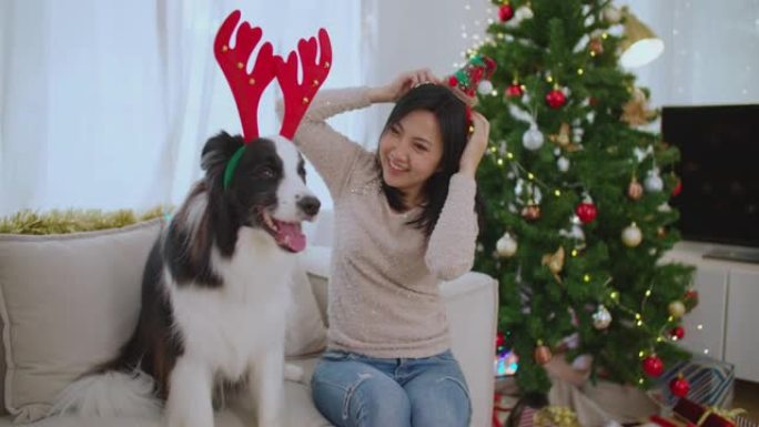 亚洲妇女喜欢在家与宠物一起庆祝圣诞节和新年假期。