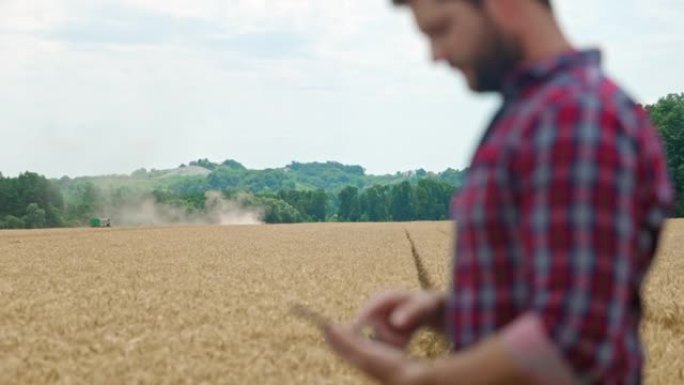 SLO MO Farmer使用数字平板电脑，同时联合收割机在背景中收获小麦